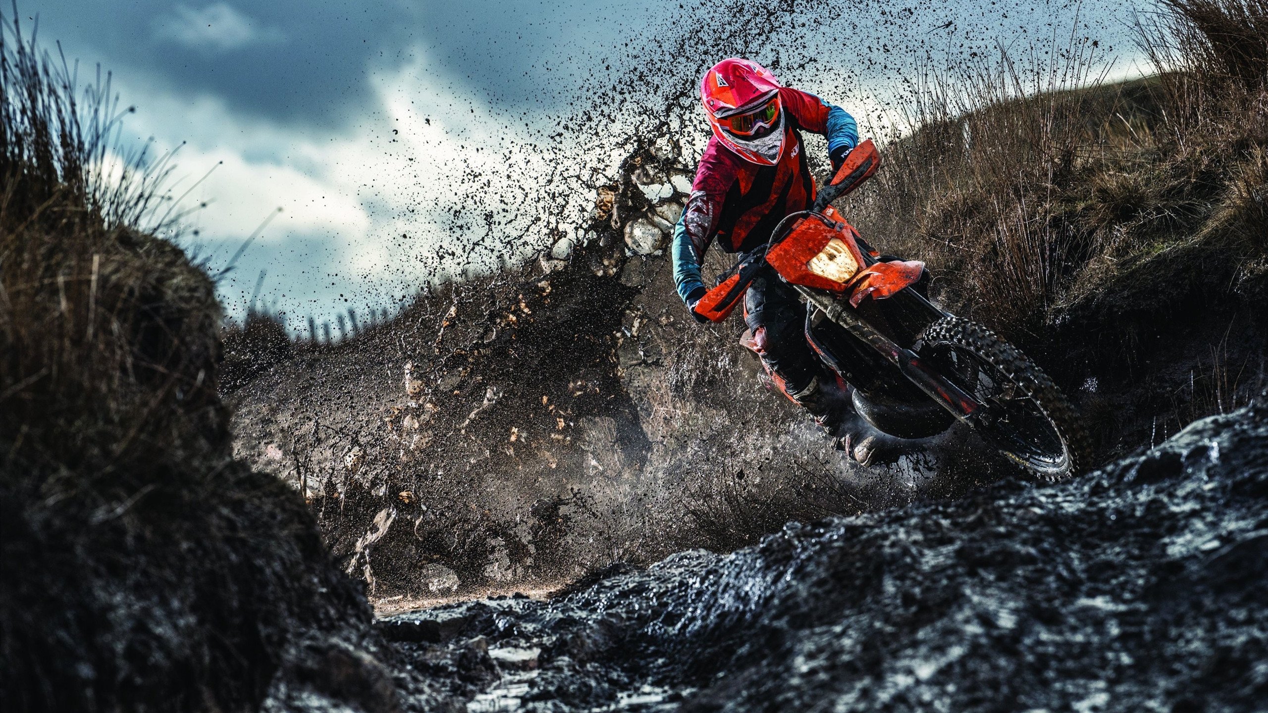 50岁人的财富分层：你在哪一层？，五十岁财富自由